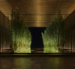 Bosque de bambú en The Sanya EDITION