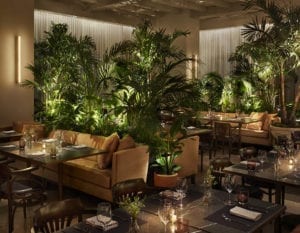 Cozy, candlelit dining are with tropical foliage