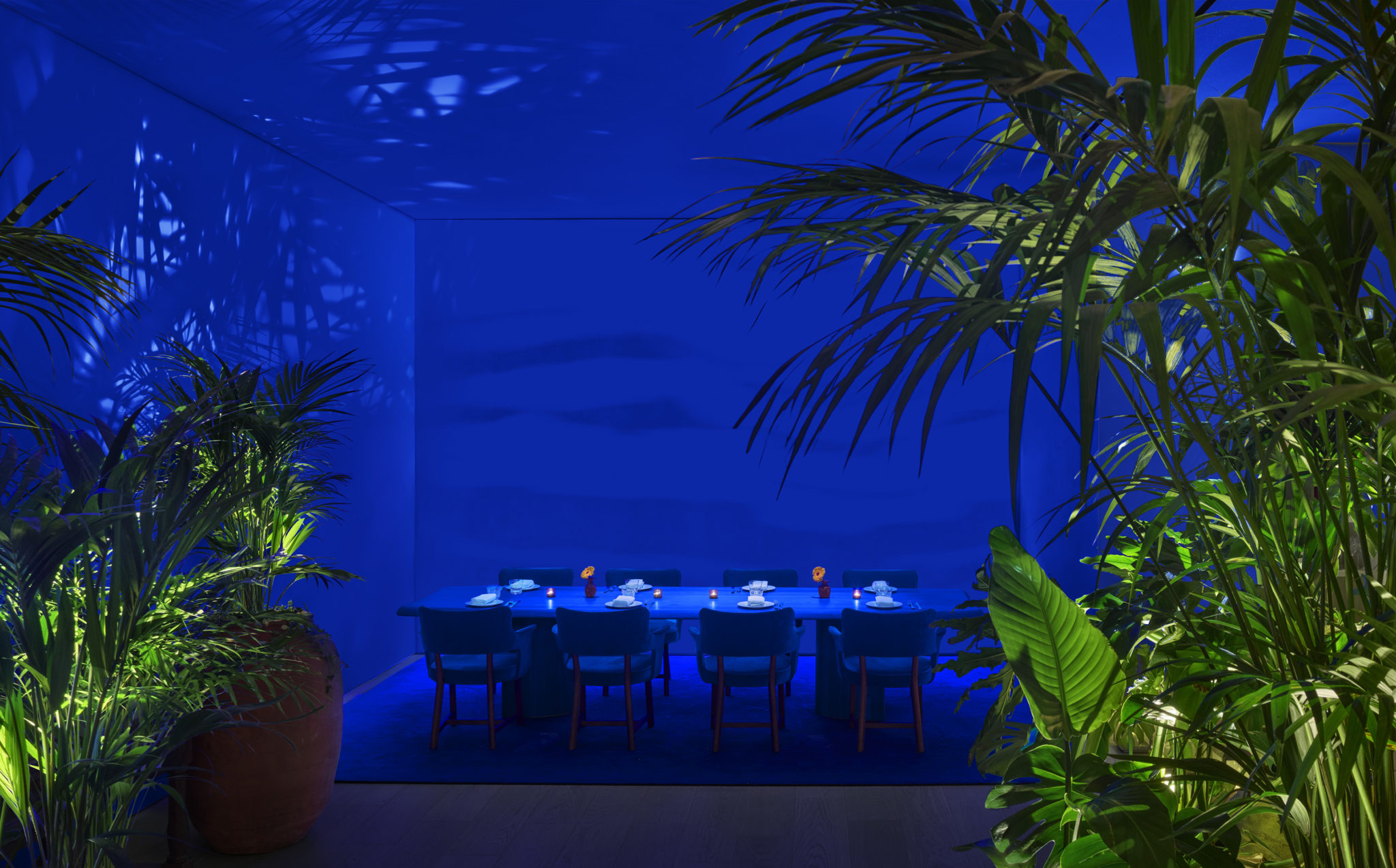 Private dining room lit with blue light and tropical decor