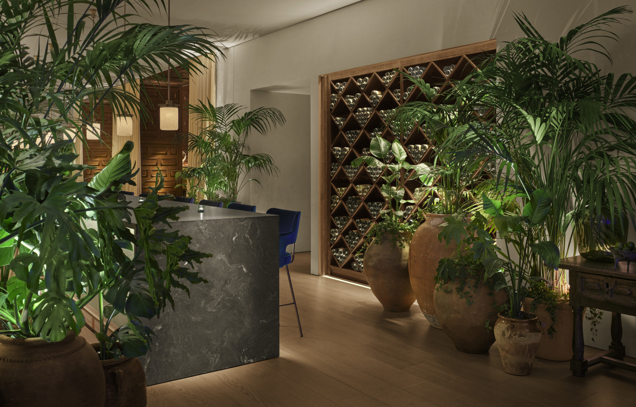 Wine room with large potted plants