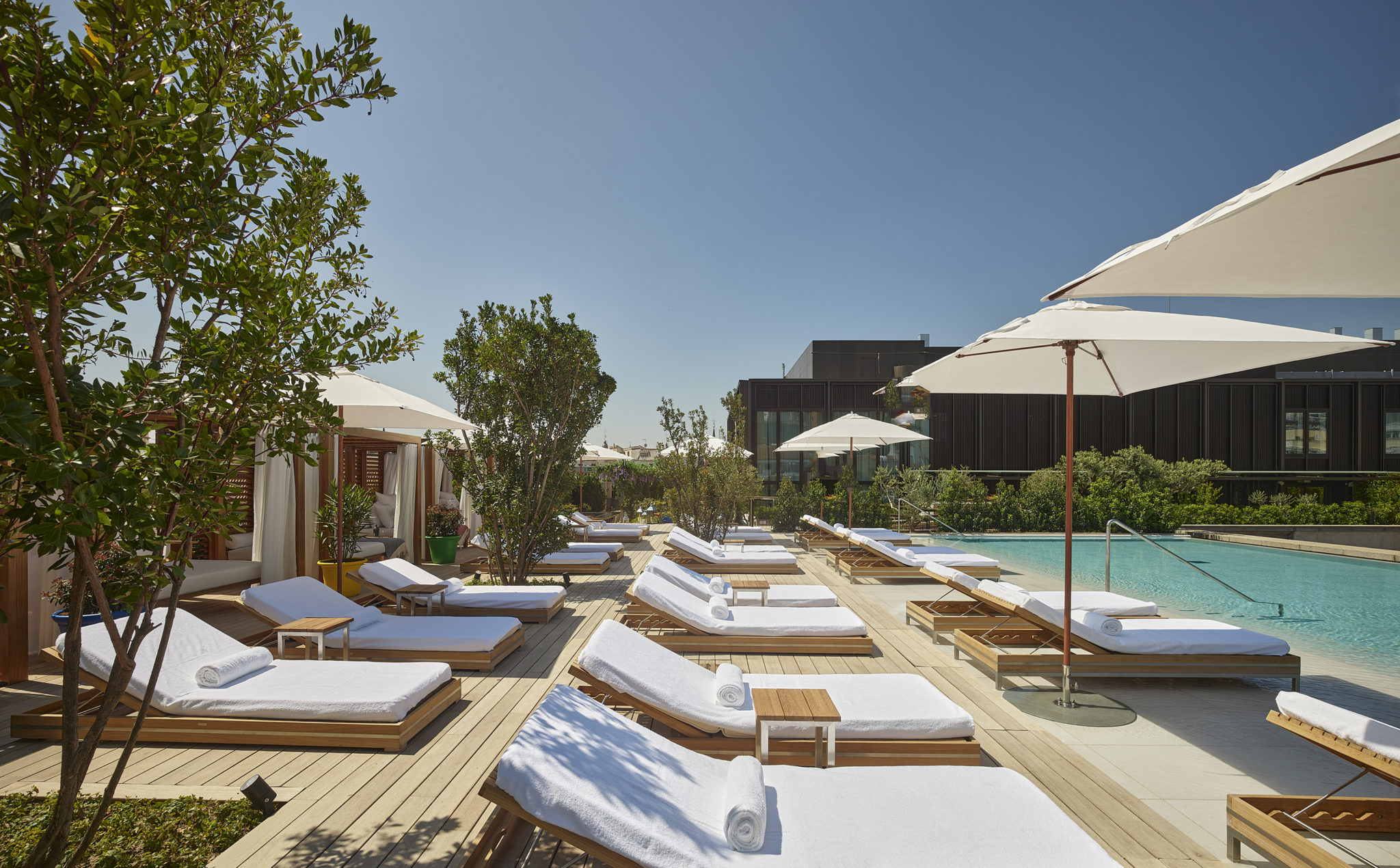 Rows of sun loungers alongside hotel pool