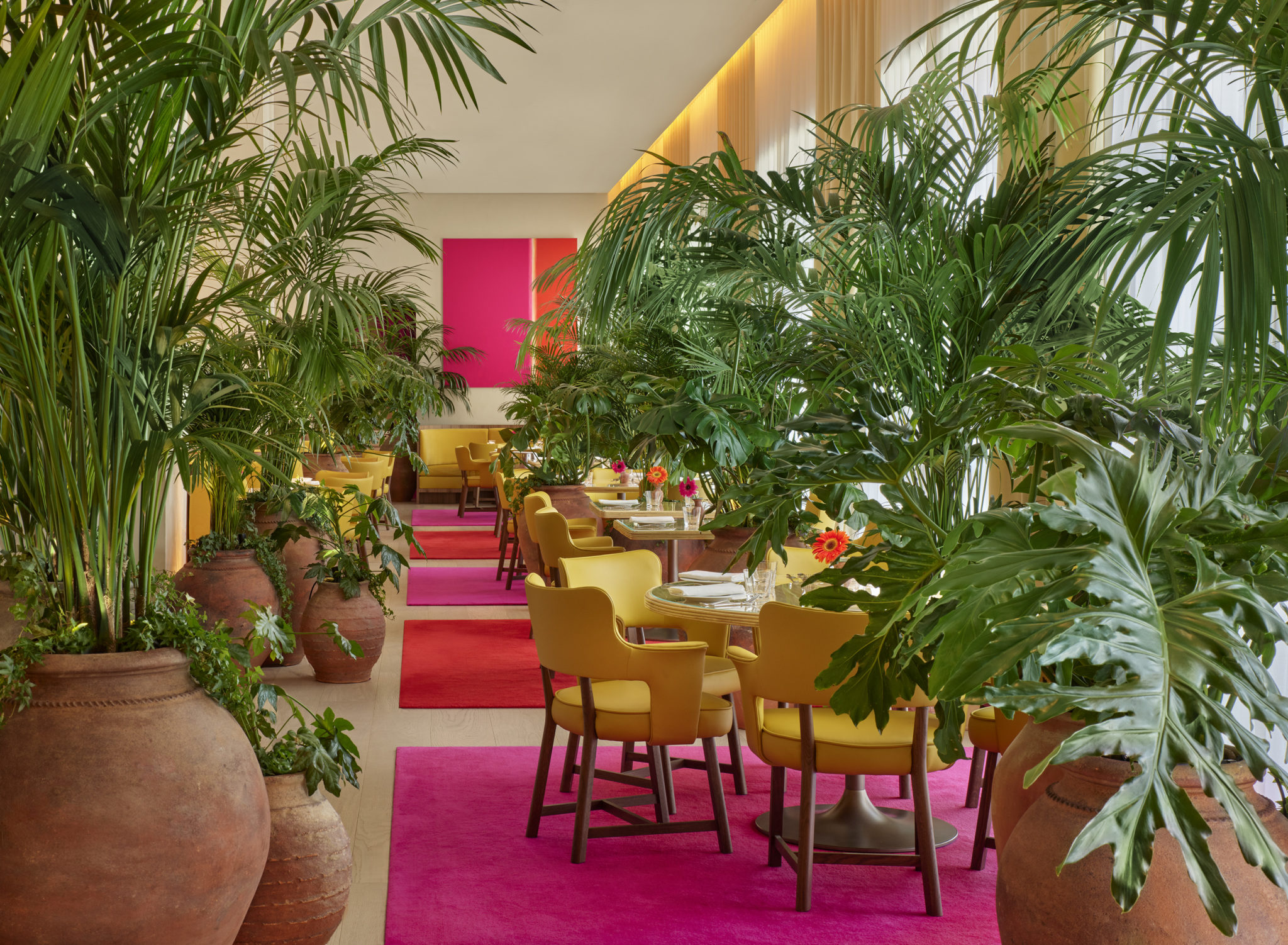 Brightly colored dining room with potted palms