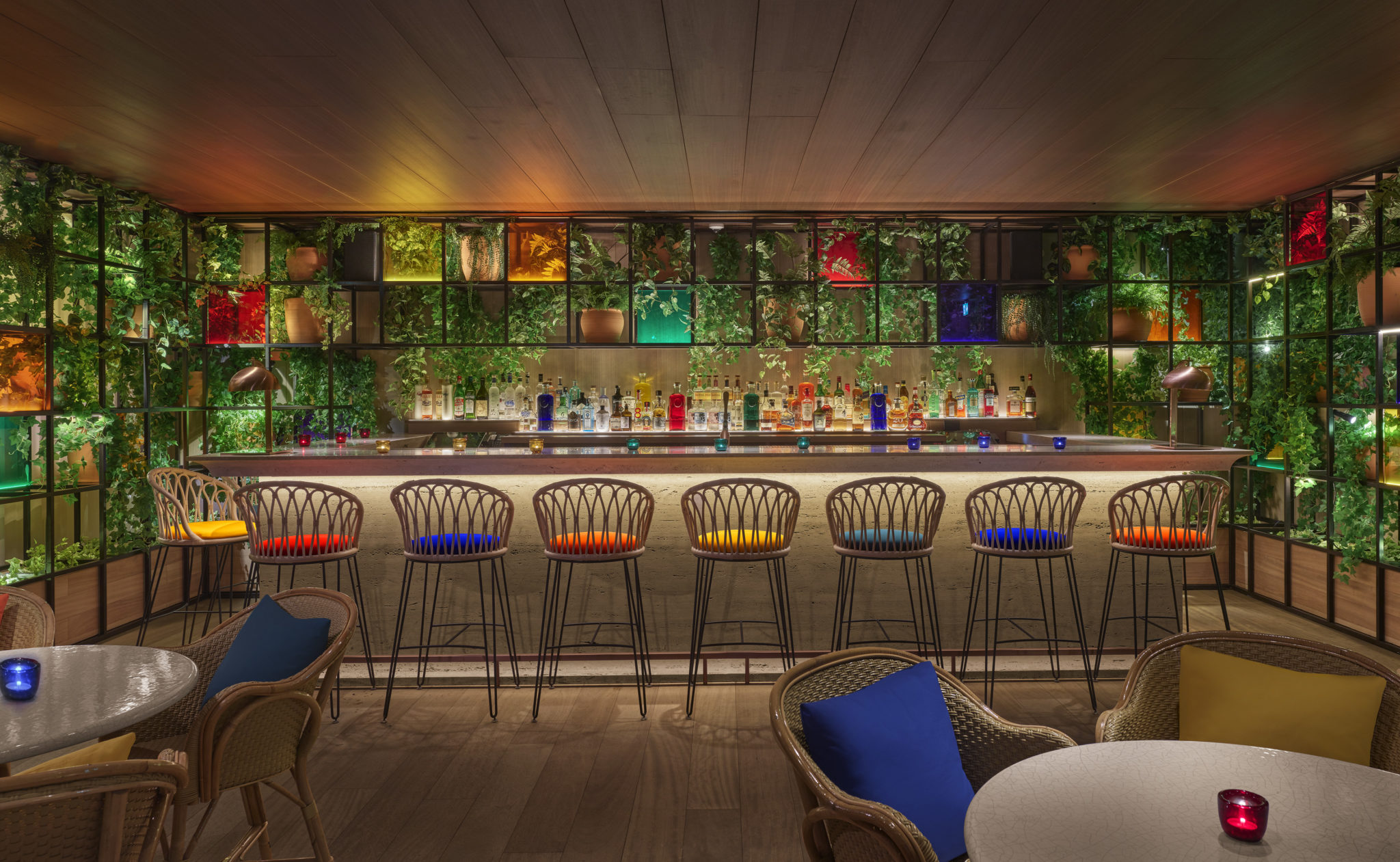 Colorful bar with vines growing throughout the space