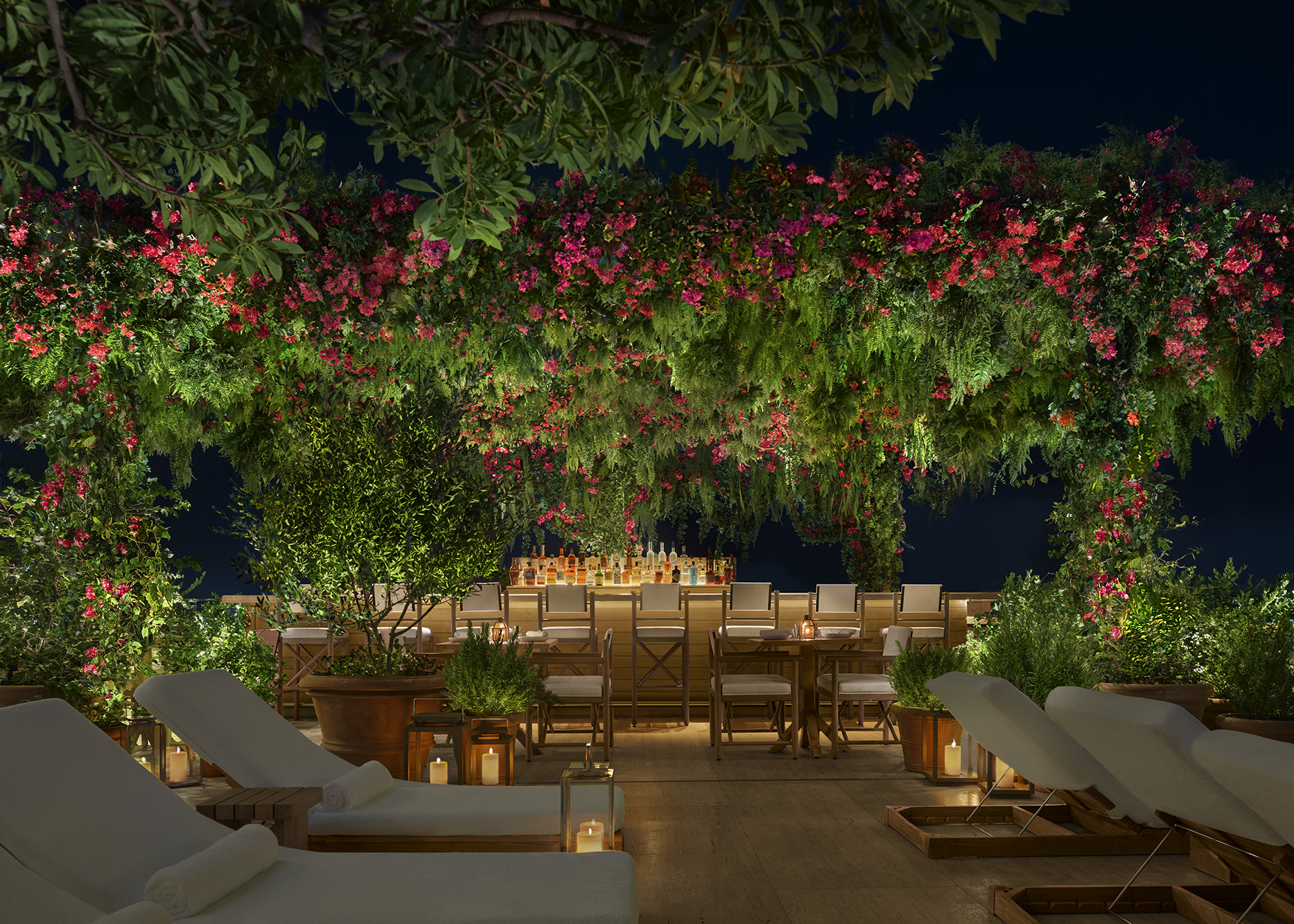 Tropical vines and flora growing over the pool bar