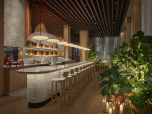 Long bar with cozy lighting and tropical flora