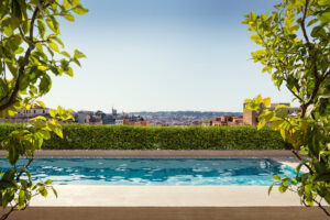 A view of a rooftop pool and a city horizon framed by two trees.