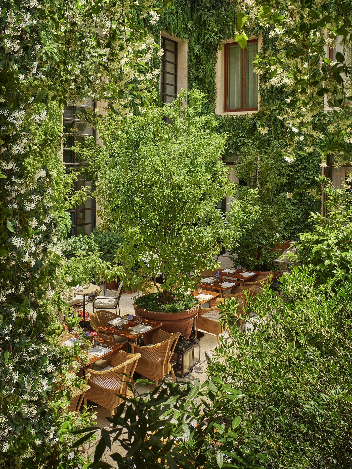 Terraza en el jardín