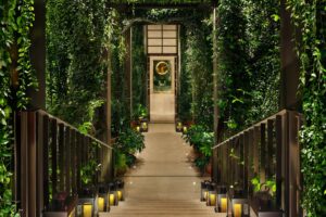 A set of stairs leading down to a walkway surrounded by foliage and ending in an open doorway.