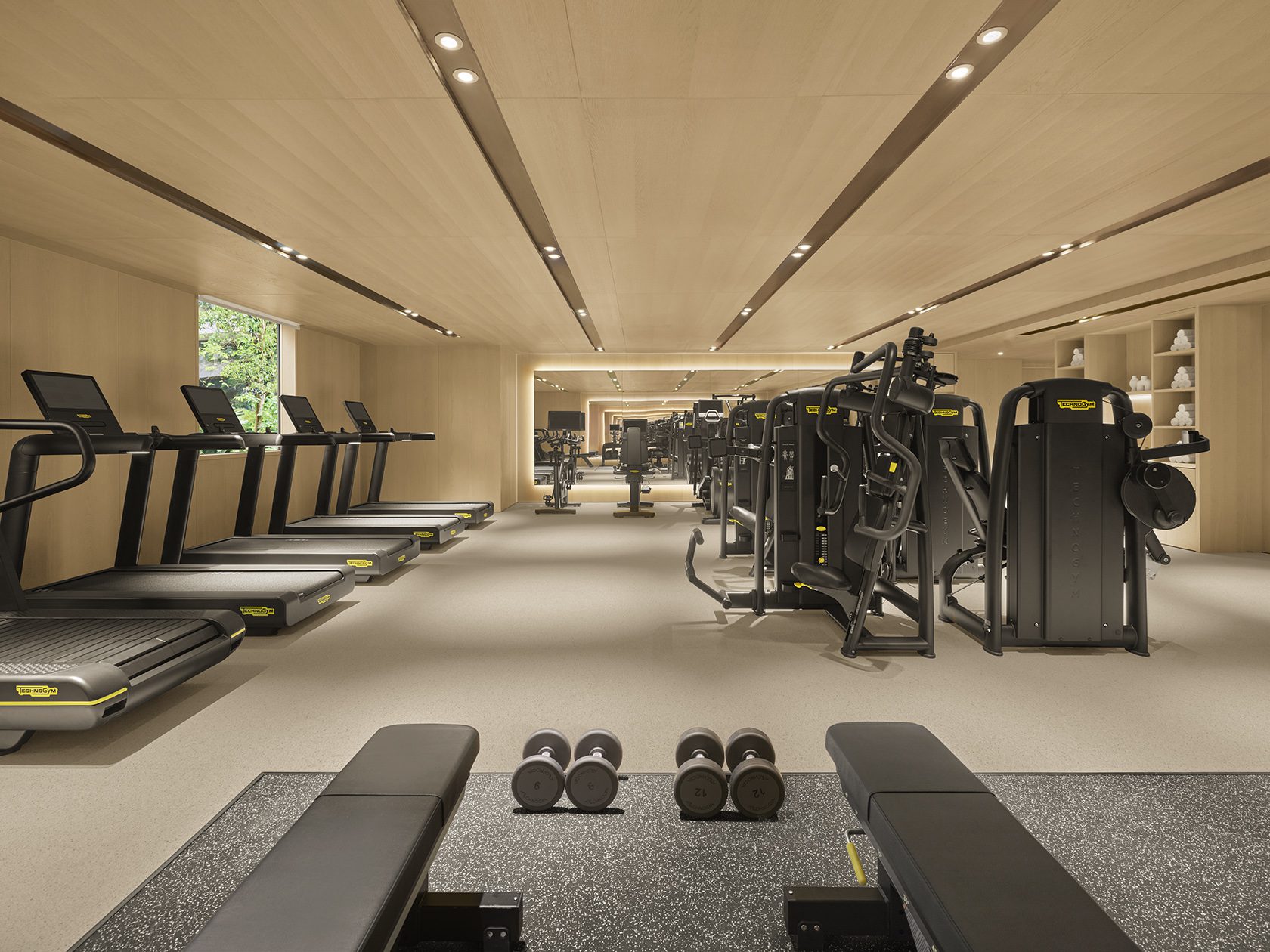 Gimnasio