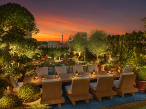 Sunset view from The Roof restaurant, with green trees and a pink and yellow sky above a dining table