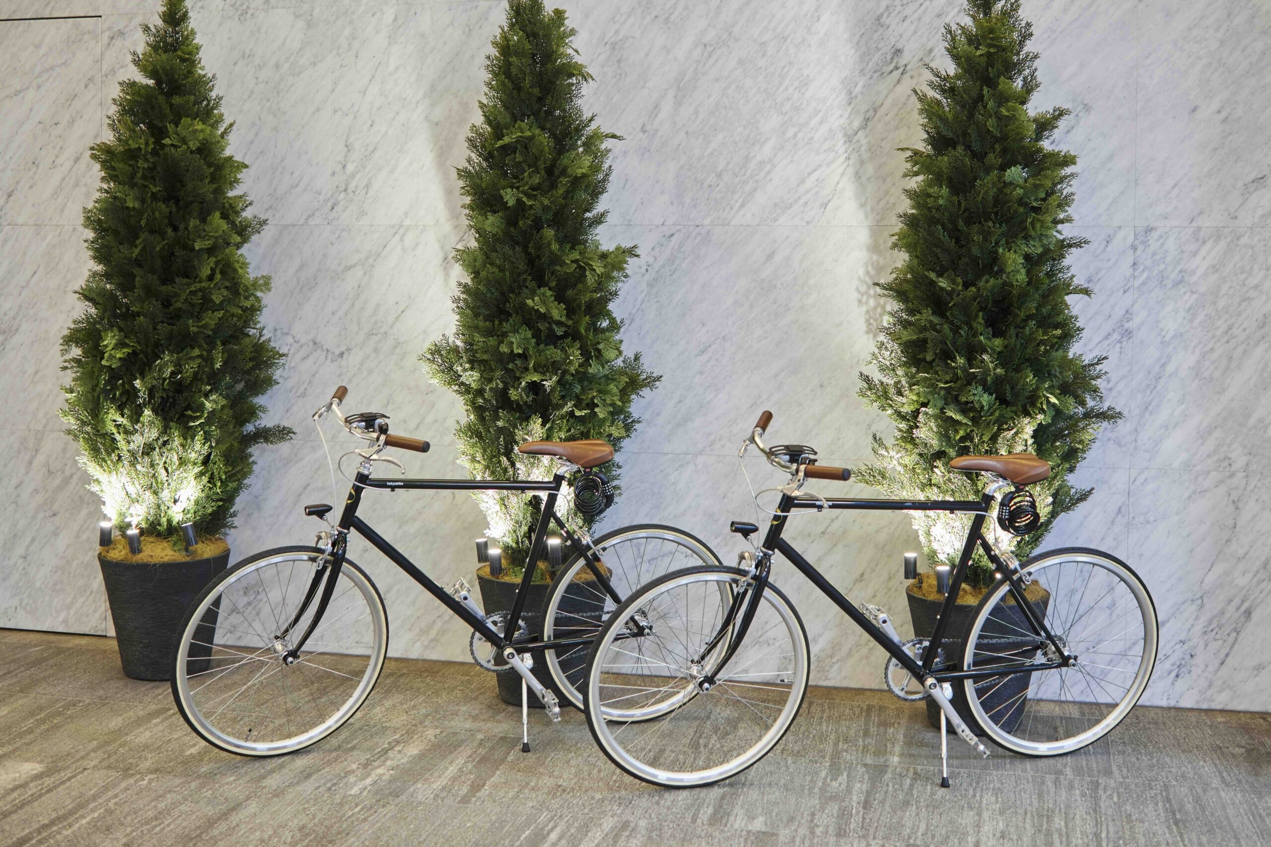 Two bicycles 